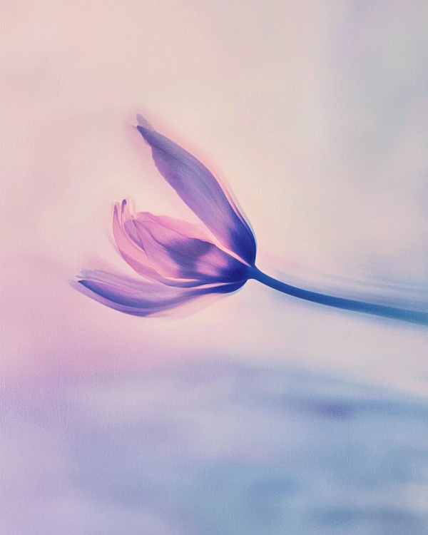 Ethereal Tulip Art