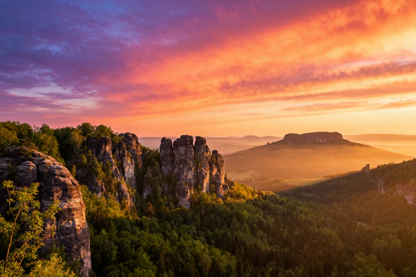 Sunset Over Forest