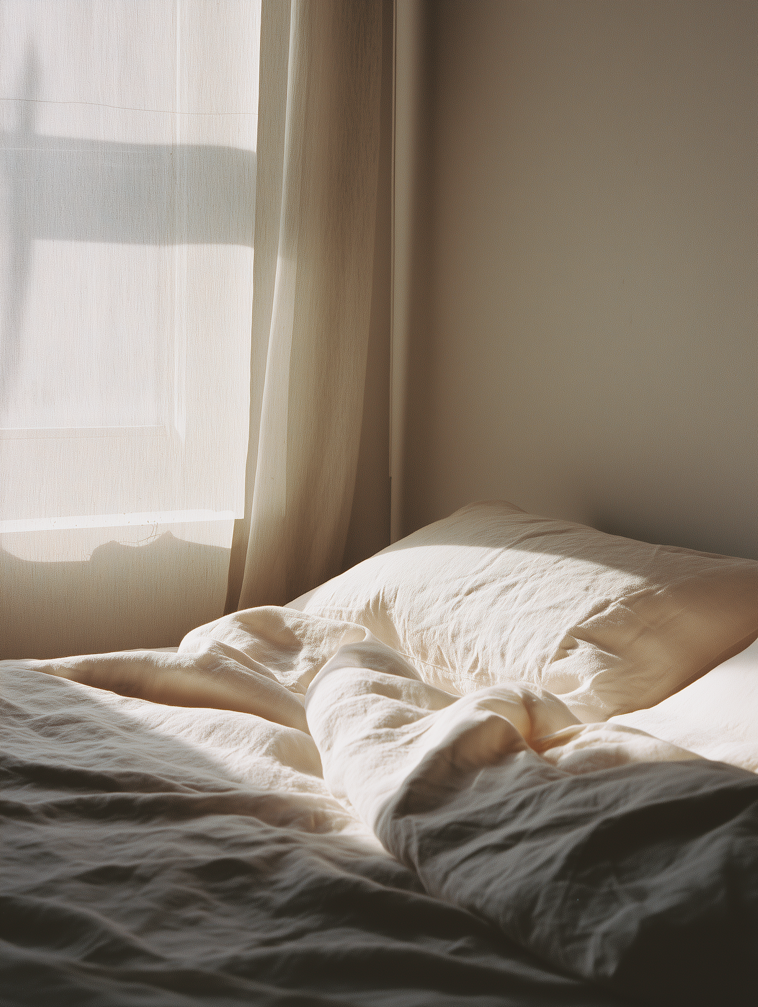Cozy Morning Bedroom