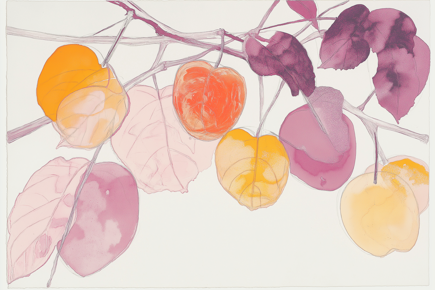 Delicate Fruit Illustration