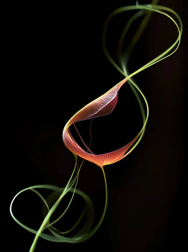 Abstract Organic Form