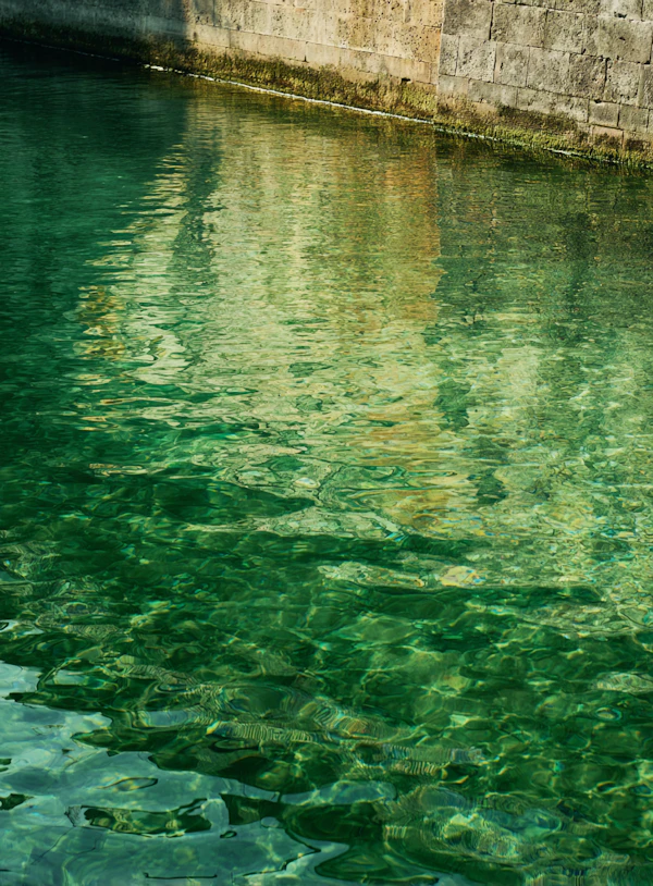 Rippling Water Surface