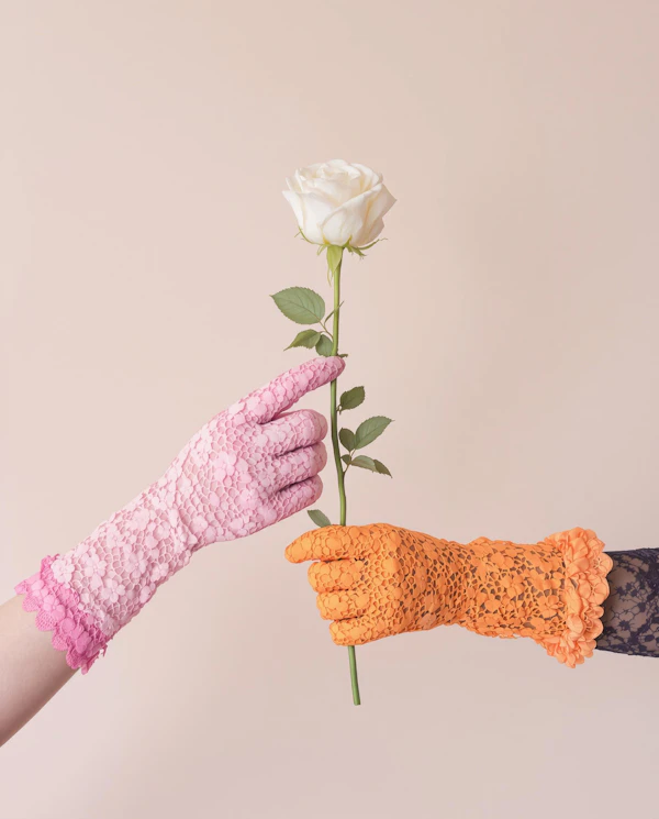 Lace Gloves and Rose