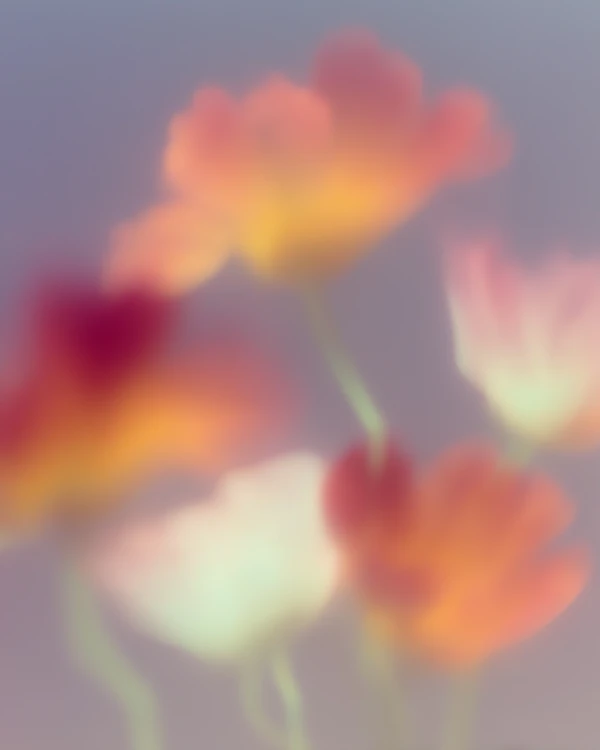 Dreamy Floral Scene
