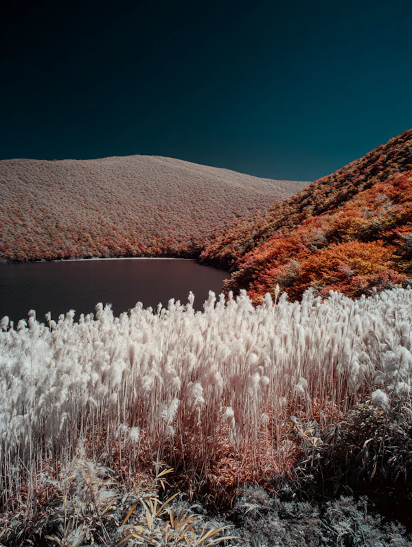 Autumn Lake Serenity
