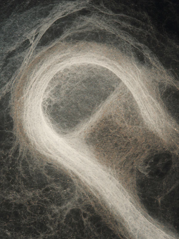 Abstract Fibrous Texture