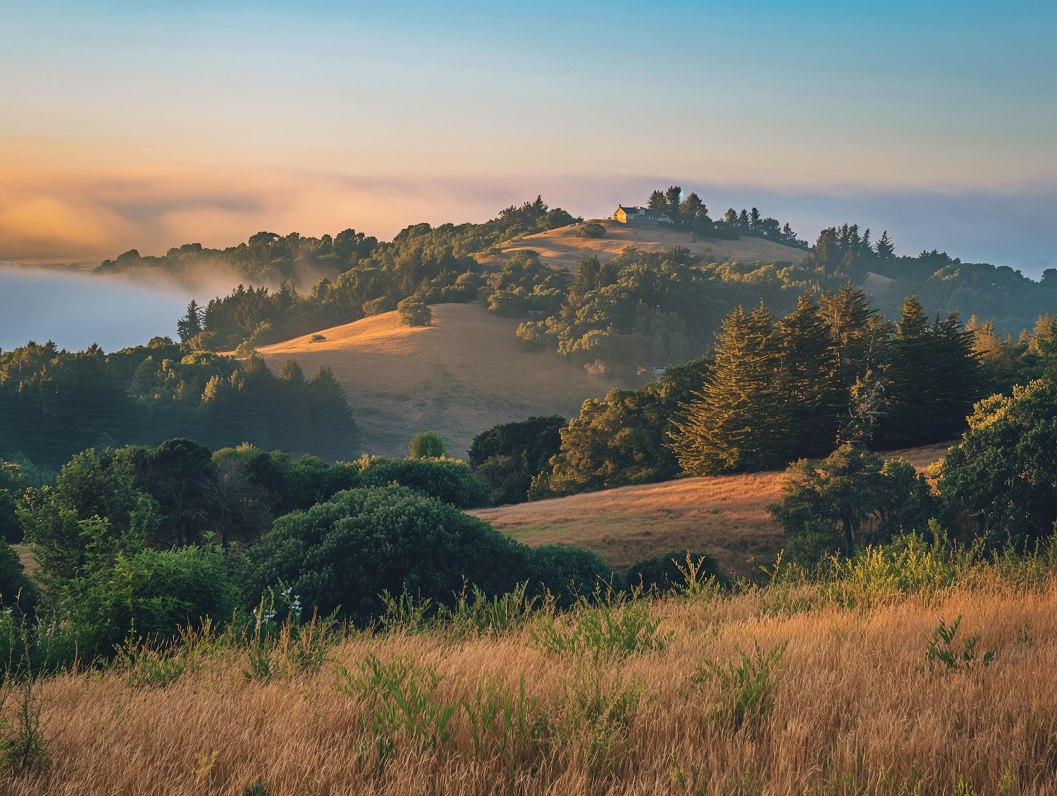 Serene Golden Hour Countryside