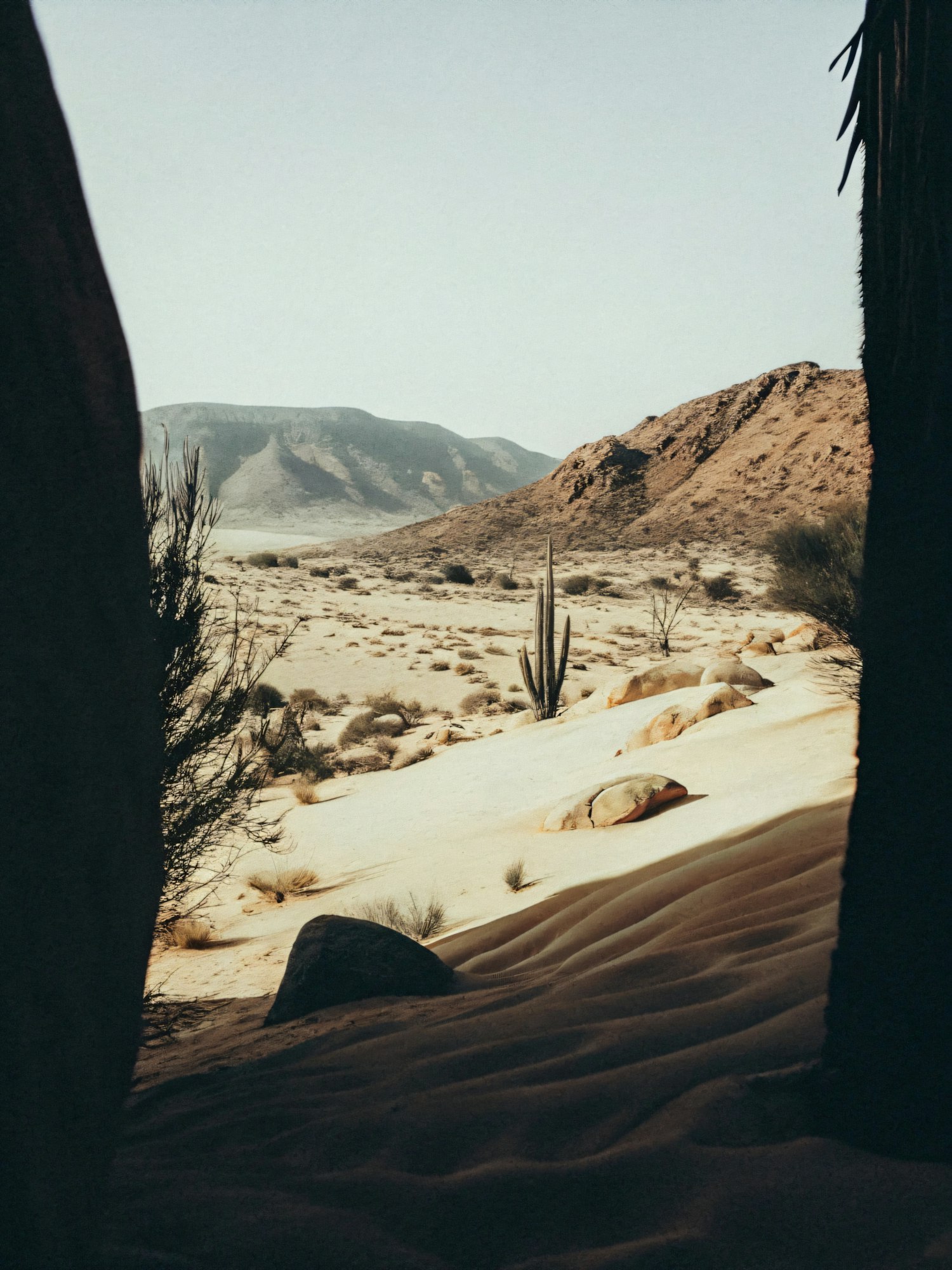 Serene Desert Landscape