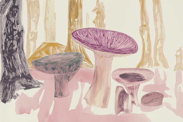 Whimsical Mushroom Forest Illustration