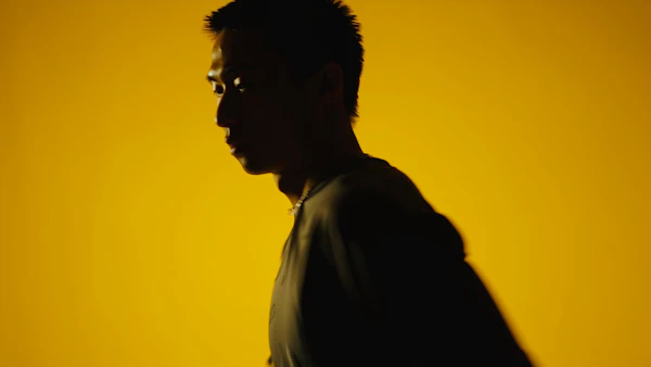 Silhouette in Yellow