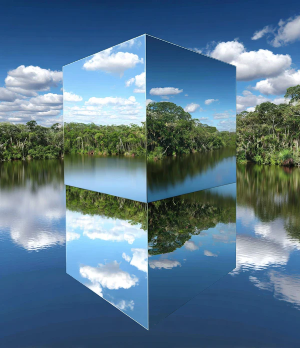 Reflective Cube in Nature