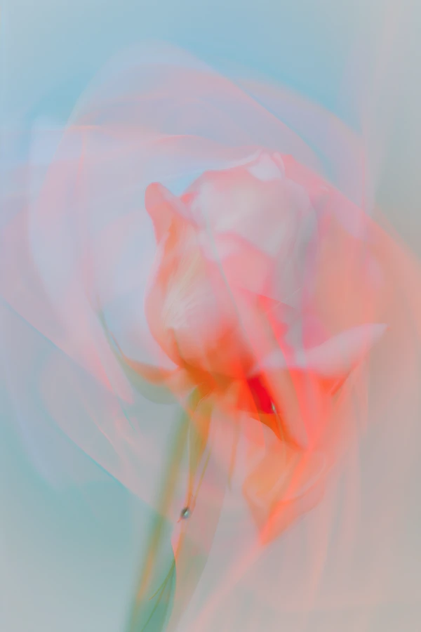 Dreamy Tulip Art