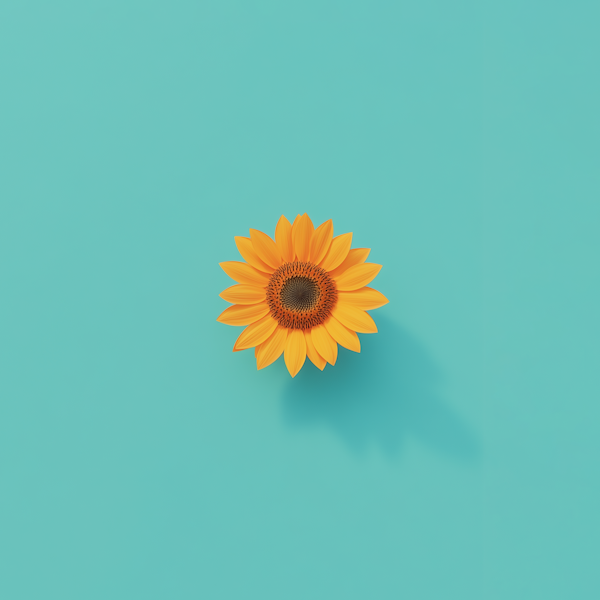 Solitary Sunflower on Turquoise