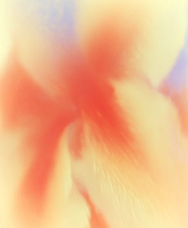 Abstract Color Gradient