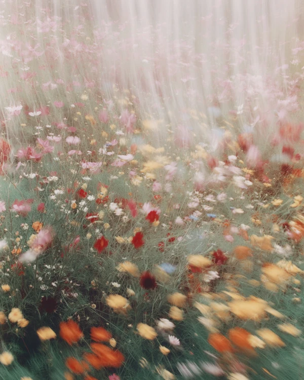 Vibrant Wildflower Meadow