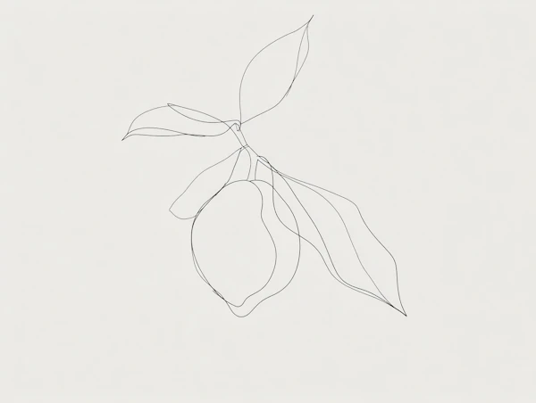 Minimalist Lemon Drawing
