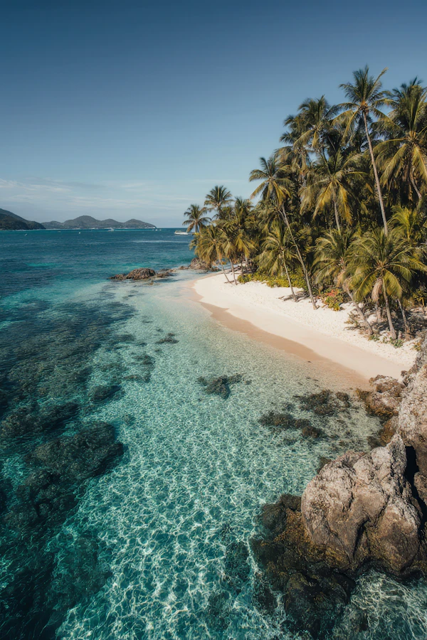 Tropical Beach Scene