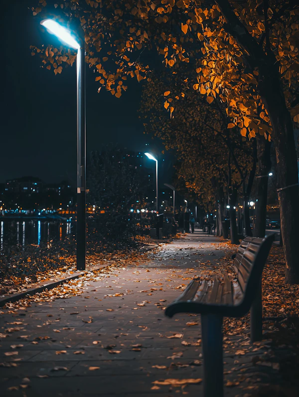 Serene Nighttime Park