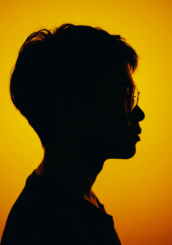 Silhouette on Yellow