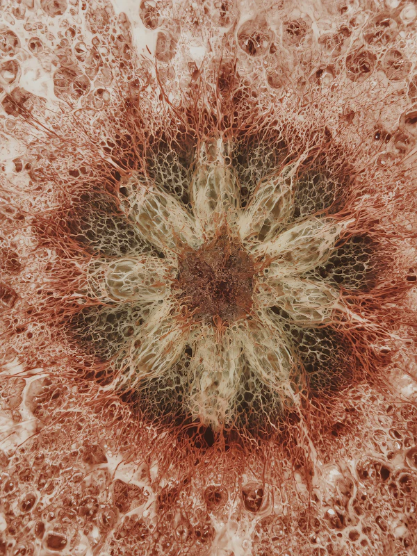 Organic Structure Close-Up