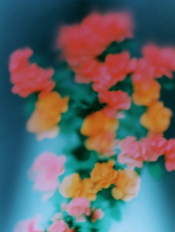 Dreamy Floral Abstract