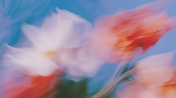 Abstract Floral Blur