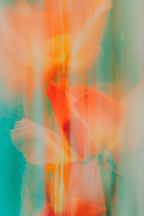 Dreamy Floral Abstract