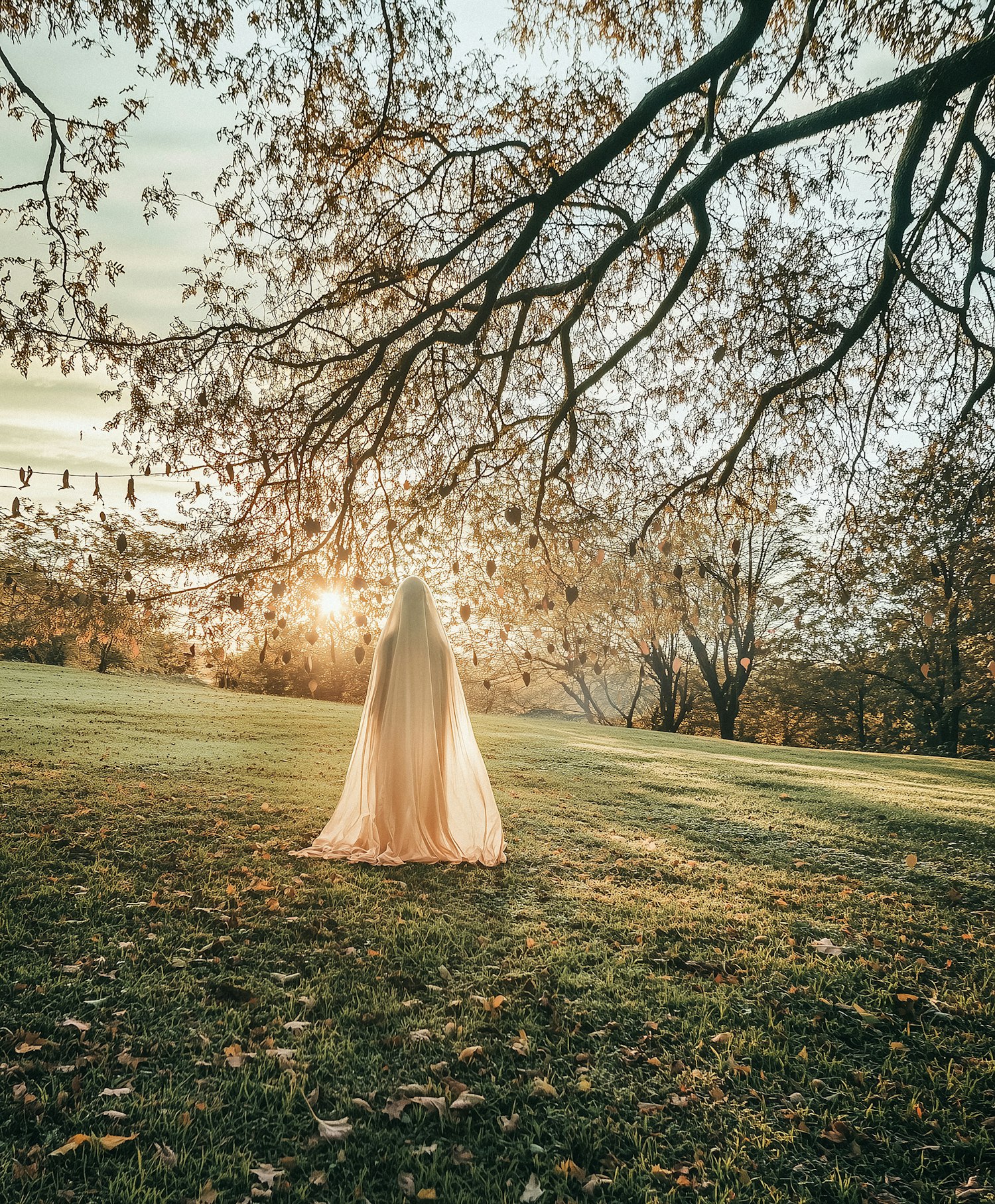 Serene Outdoor Scene with Contemplative Figure