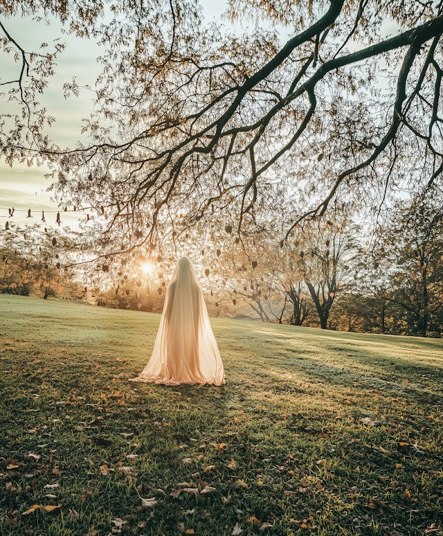 Serene Outdoor Scene with Contemplative Figure