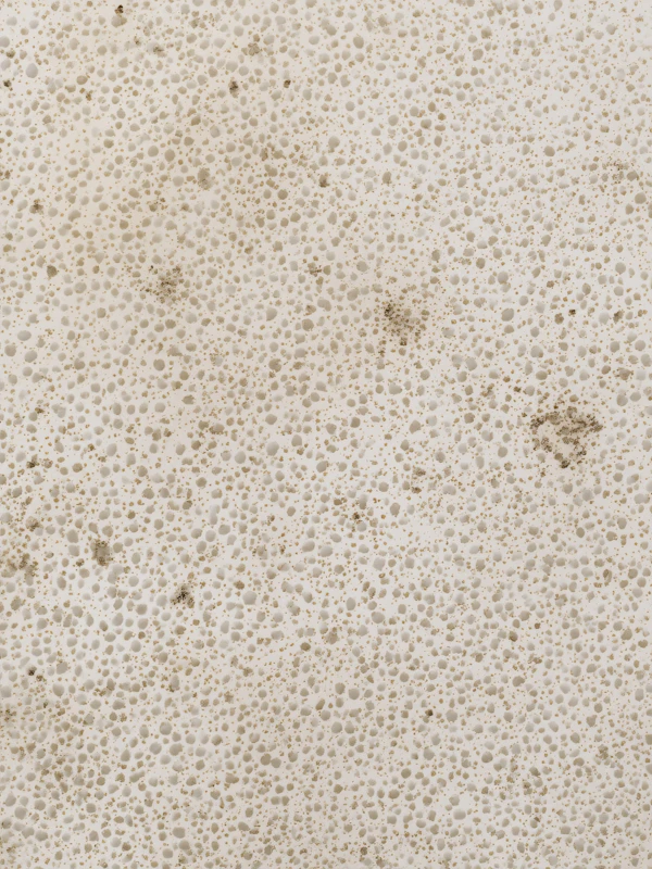 Textured Surface Close-Up