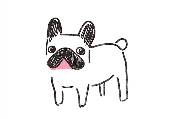 Cartoon French Bulldog Illustration