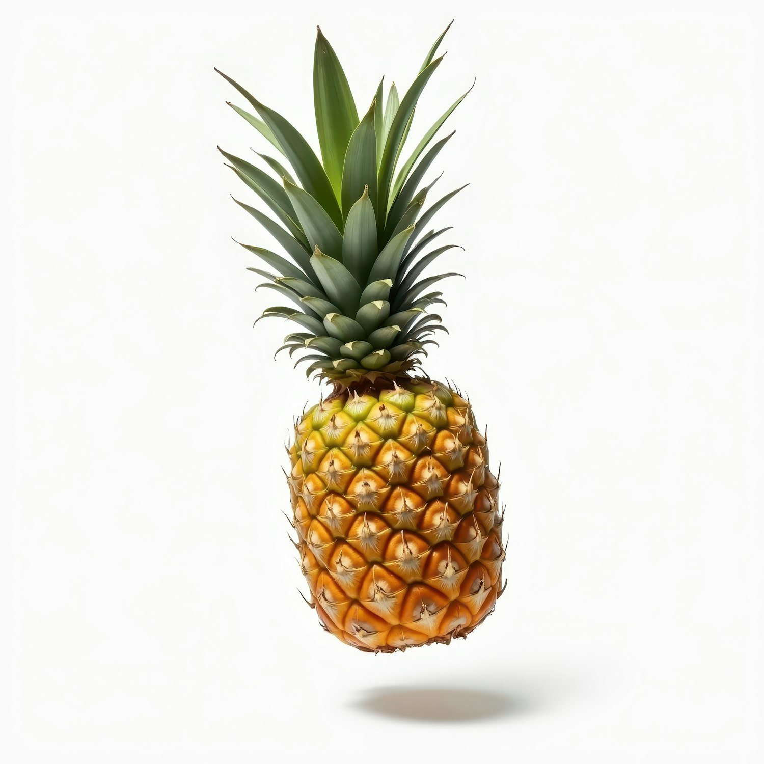 Floating Pineapple