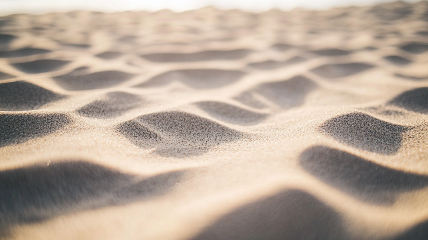 Sand Dunes Close-Up