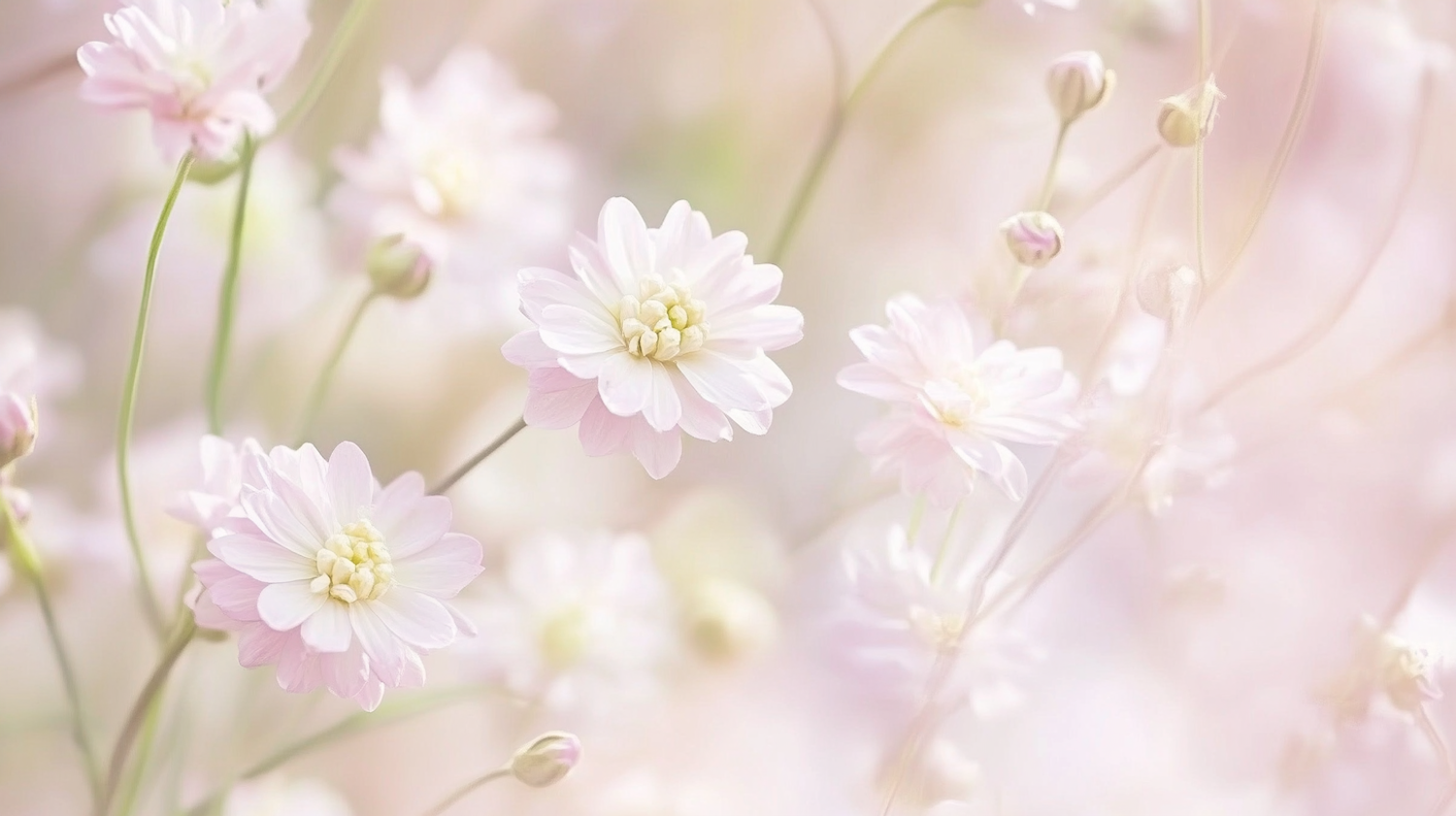 Delicate Pink Flowers in Bloom