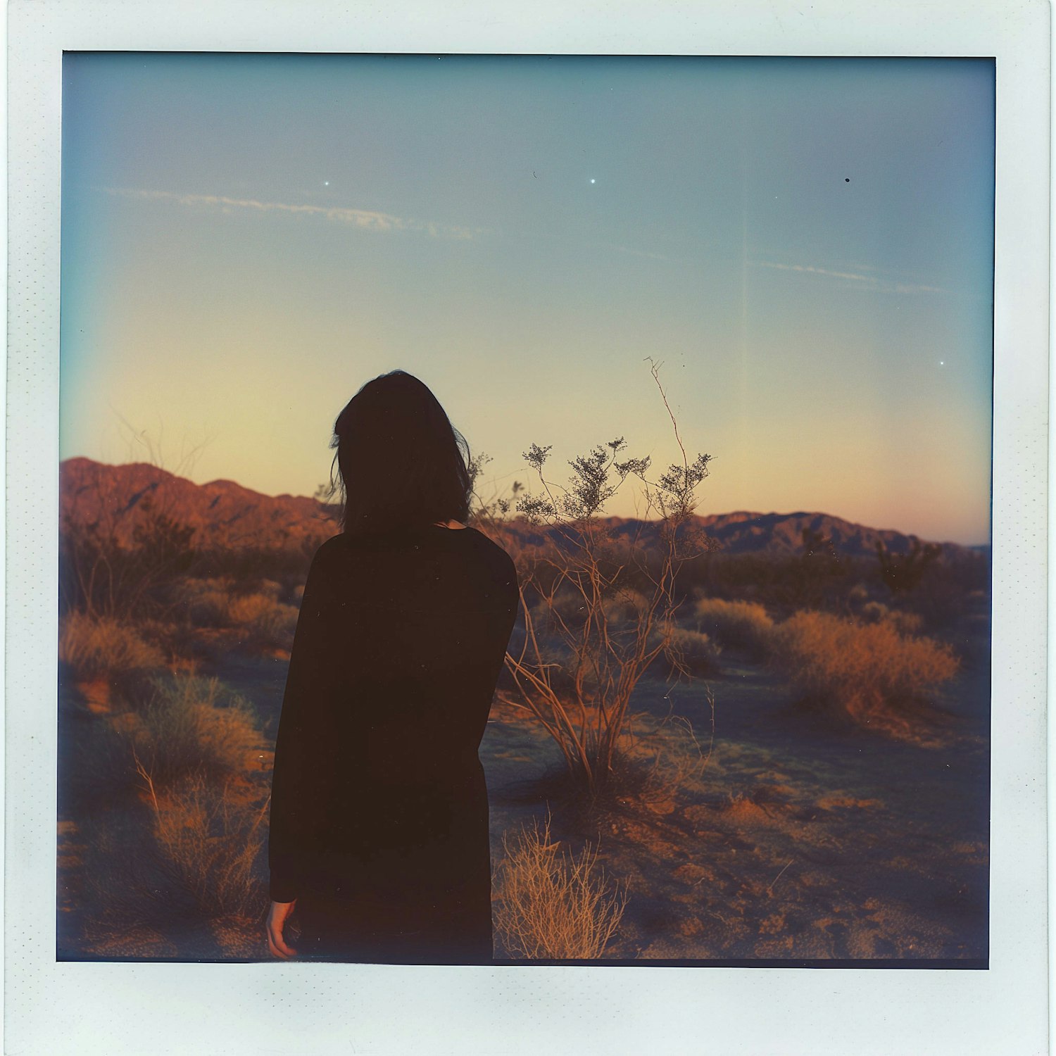 Solitary Figure in Desert