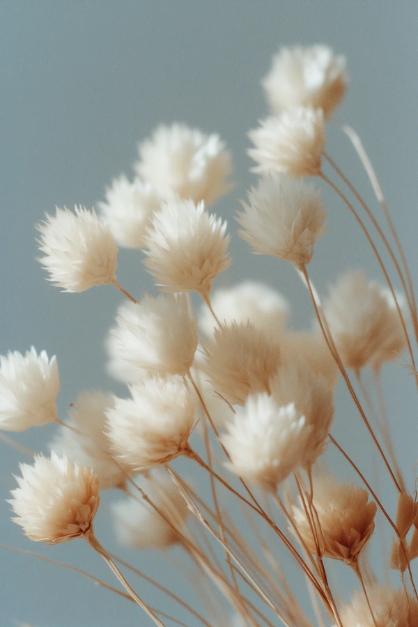 Delicate Dried Flowers