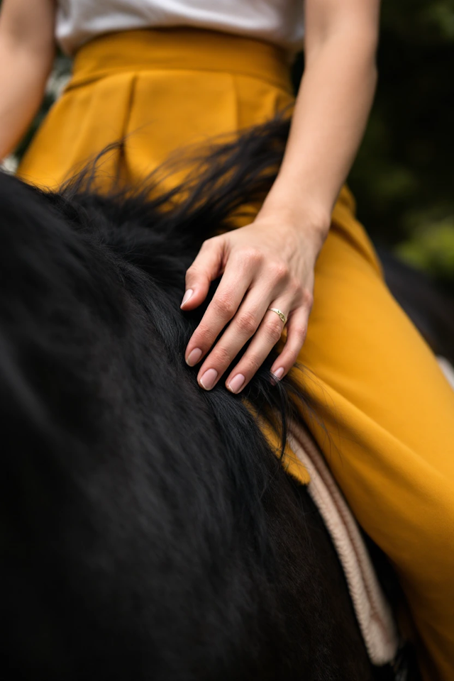 Hand on Horse's Mane