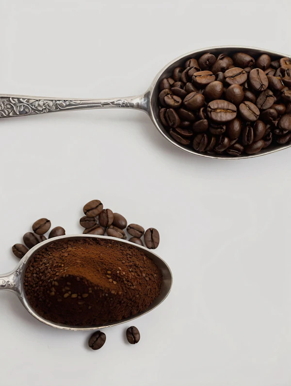 Coffee Spoons Display