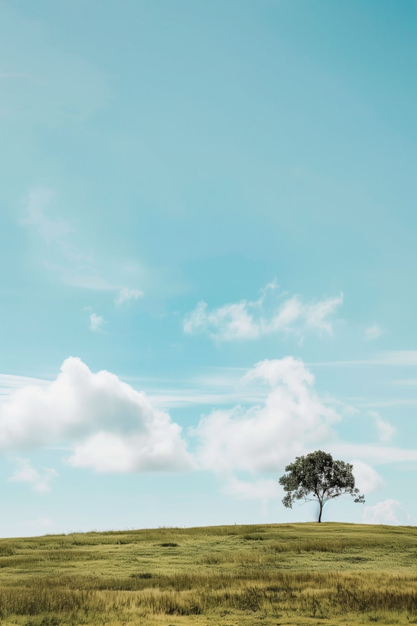 Solitary Tree on a Hill