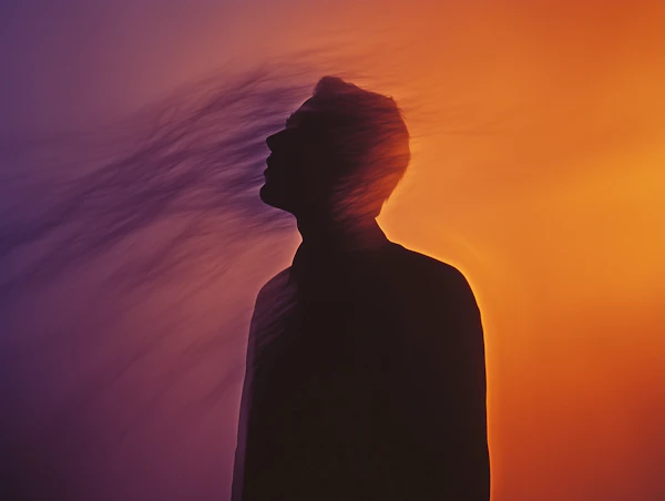 Silhouette Gradient Art