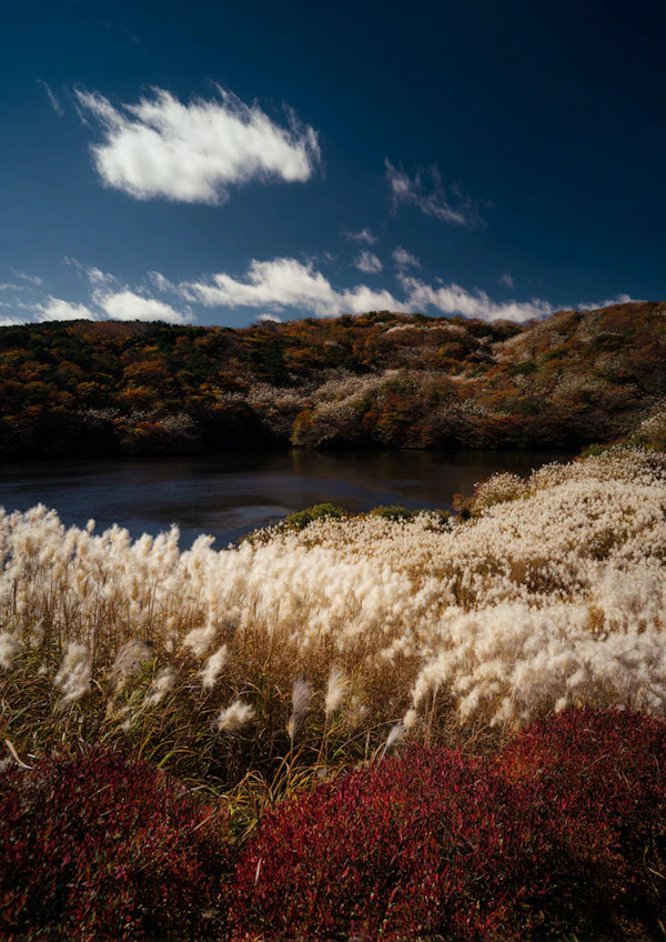 Autumnal Tranquility