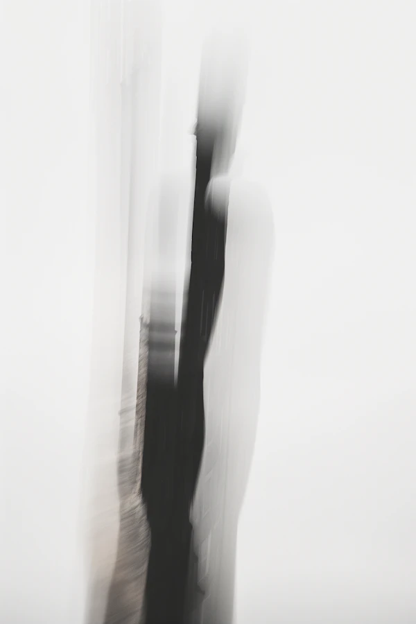 Abstract Silhouette Art