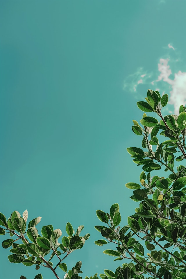 Tranquil Green Canopy against Aqua-Blue Sky