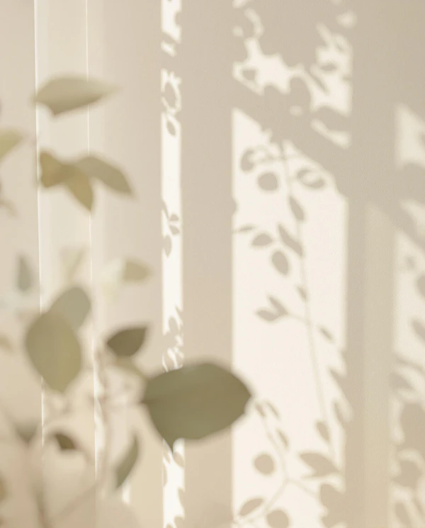 Shadows on Beige Wall
