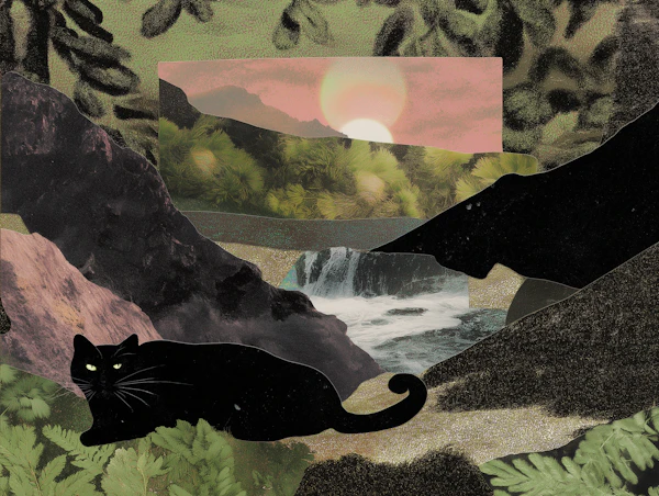 Surreal Cat Illustration