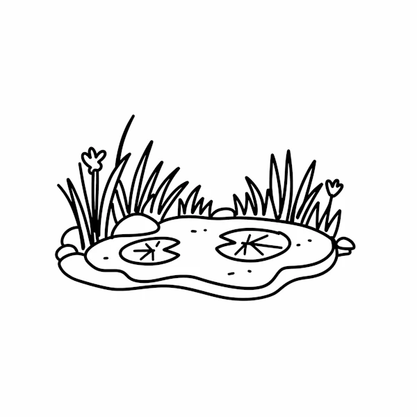 Pond Line Drawing