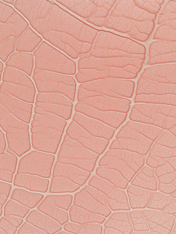Textured Pink Surface