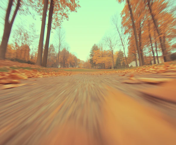 Serene Autumn Path