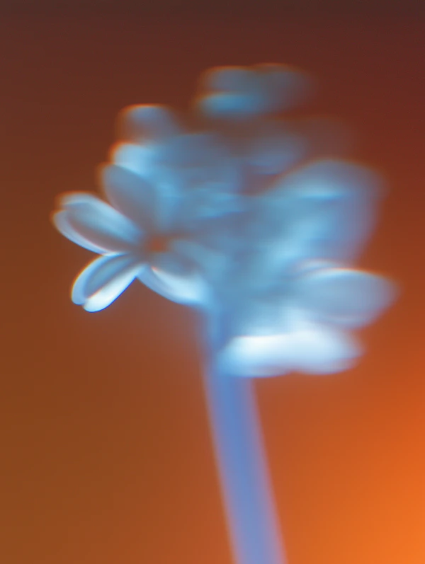 Dreamy Blue Flower