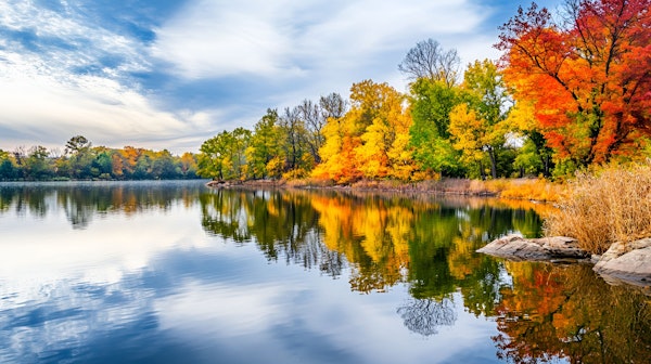 Serene Autumn Landscape by the Lake